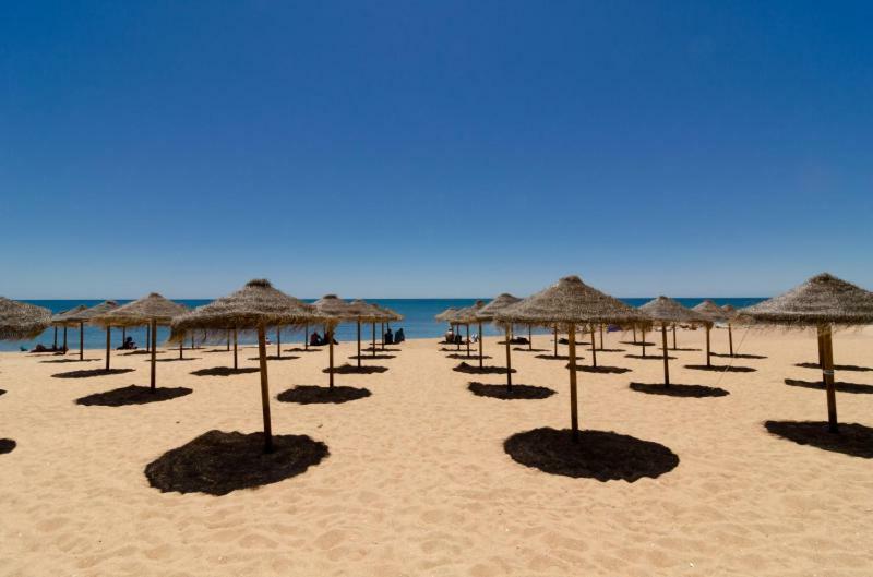 Ocean View 1 Bed Room Flat Куартейра Екстериор снимка